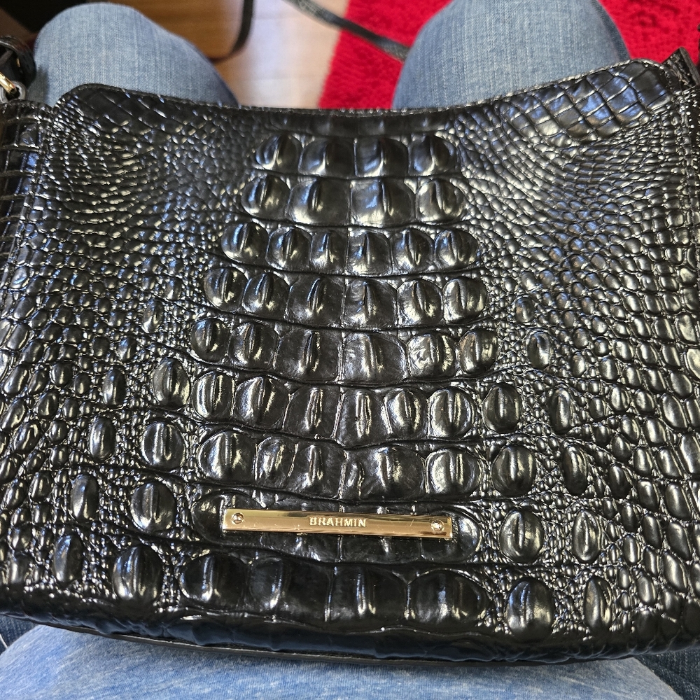 Brahmin Purse